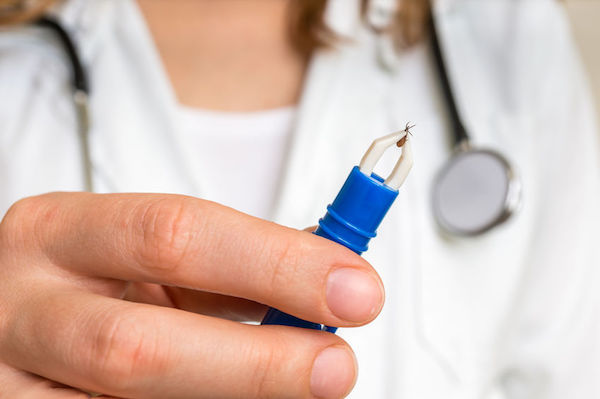 Lyme disease A tick that transmits Lyme disease